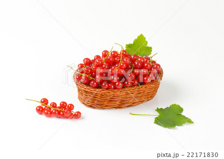 Fresh picked red currants 22171830