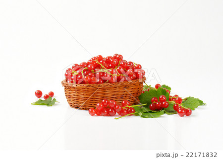 Fresh picked red currants 22171832