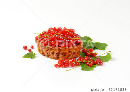 Fresh picked red currants 22171833