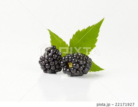 Fresh ripe blackberries Fresh ripe blackberries 22171927