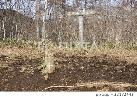 奥多摩 槇寄山の山頂 22172443