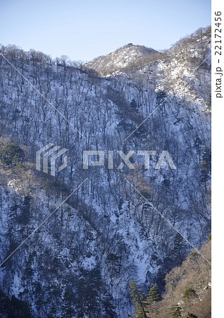 冬の天王寺尾根より塔ノ岳と日高 22172456