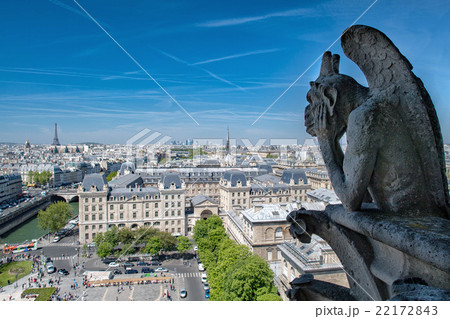 notre dame gorgoyle paris view notre dame gorgoyle paris view 22172843