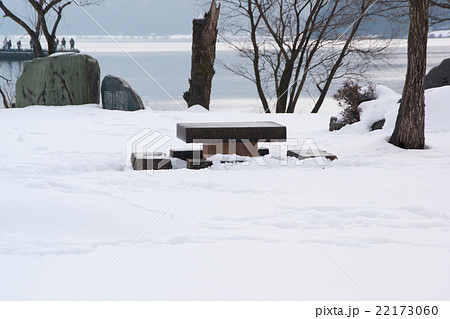 余呉湖畔の冬景色 余呉湖畔の冬景色 22173060
