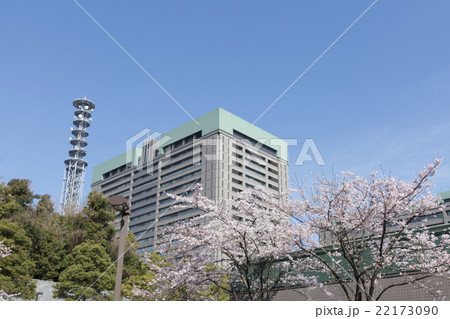 東京の桜 満開 防衛省 東京の桜 満開 防衛省 22173090