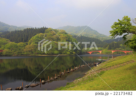 新緑の碓氷湖 新緑の碓氷湖 22173482