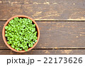 新芽 22173626