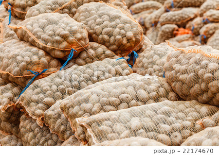 potatoes in the bags at farmers market 22174670