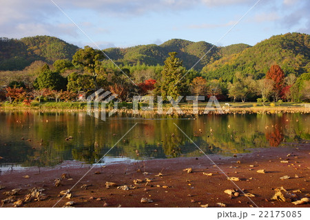大覚寺、大沢の池。空海も嵯峨天皇も見た風景。平安貴族が愛でた景色。 大覚寺、大沢の池。空海も嵯峨天皇も見た風景。平安貴族が愛でた景色。 22175085
