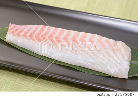 おいしい鯛の刺身 おいしい鯛の刺身 22175087