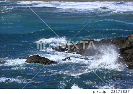 西伊豆大浜海水浴場沖の波　 22175887