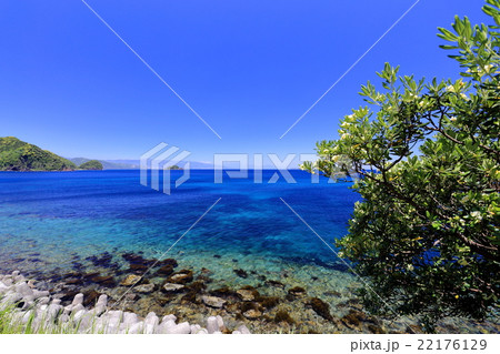 川奈海水浴場付近より房総半島方面を望む 22176129