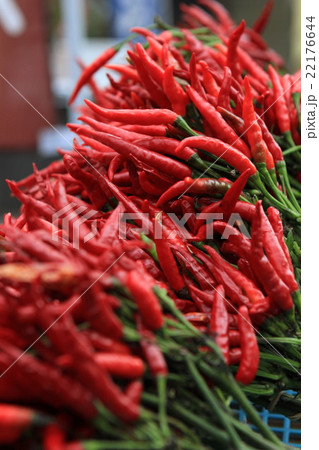 赤トウガラシ 赤トウガラシ 22176644