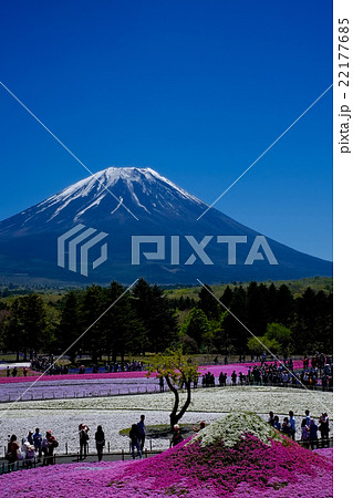 富士と芝桜 22177685