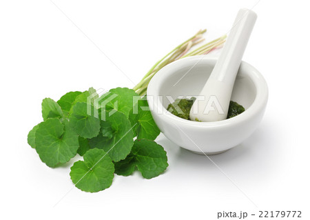 ゴツコラサプリメントイメージ 22179772