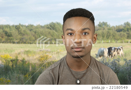 young farmer in a field with cows in summer 22180549