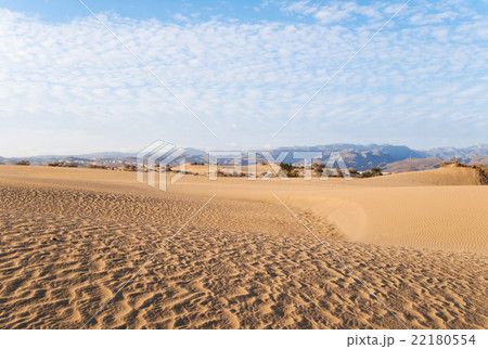 Natural Reserve of the Dunes of Maspalomas 22180554
