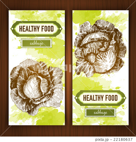 Banners with graphic cabbage 22180637