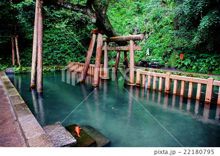 東国三社　鹿島神宮　御手洗池　（ 常陸国一宮 ）　茨城県 鹿嶋市 宮中 22180795