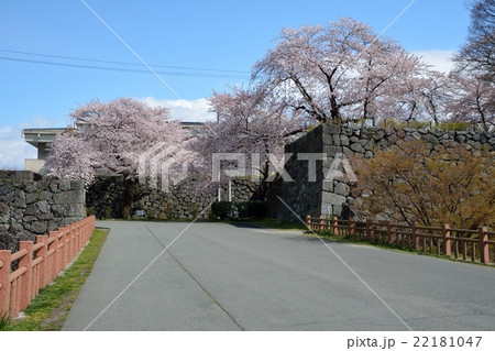 霞城公園 南追手門 霞城公園 南追手門 22181047