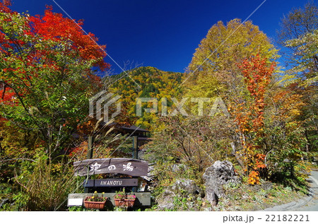 白骨温泉 泡の湯旅館周辺 の紅葉の写真素材