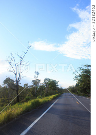 wet black road with sunlight blue sky atfer rain 22182452