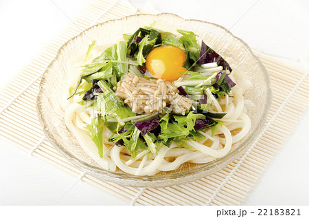 冷やしぶっかけうどん 冷やしぶっかけうどん 22183821