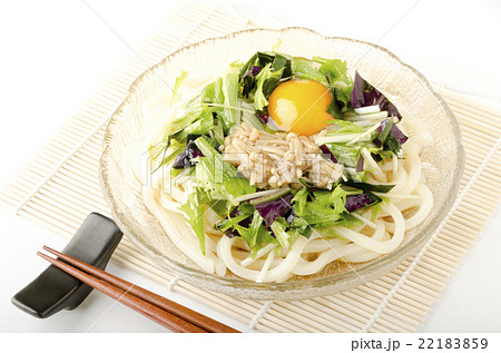 冷やしぶっかけうどん 22183859