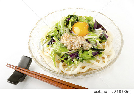 冷やしぶっかけうどん 22183860