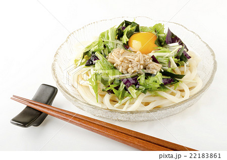 冷やしぶっかけうどん 22183861