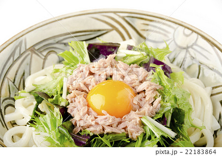 冷やしぶっかけうどん 22183864