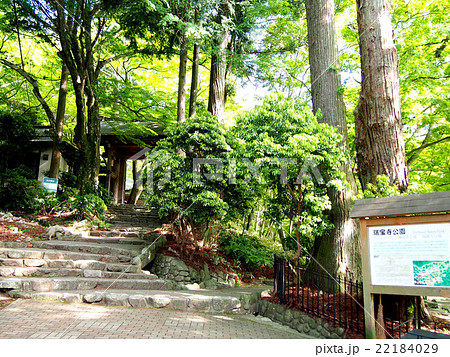 瑞宝寺公園 22184029