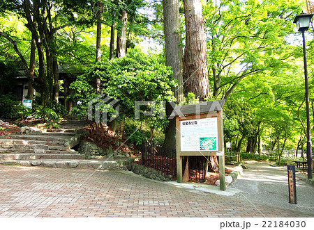 瑞宝寺公園 22184030