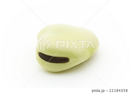 ソラマメ:Broad bean (Fava bean) 22184358