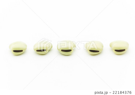 ソラマメ:Broad bean (Fava bean) ソラマメ:Broad bean (Fava bean) 22184376