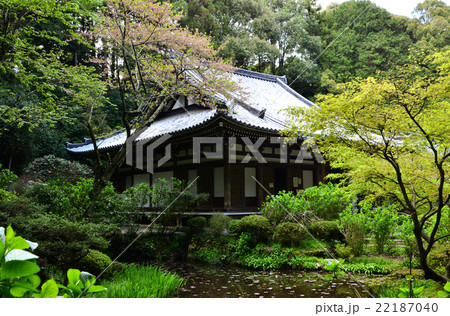 岩船寺　本堂（2016.4） 22187040