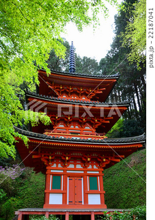 岩船寺　三重塔（2016.4） 22187041