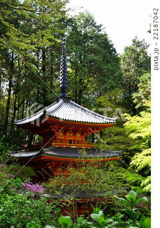 岩船寺　三重塔（2016.4） 22187042