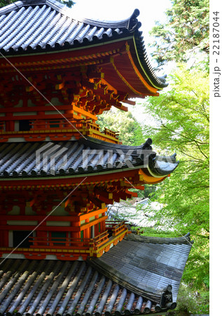 岩船寺　三重塔（2016.4） 22187044