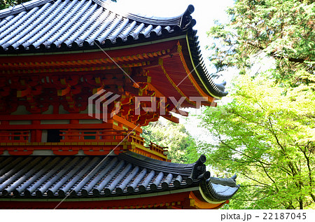 岩船寺　三重塔（2016.4） 22187045