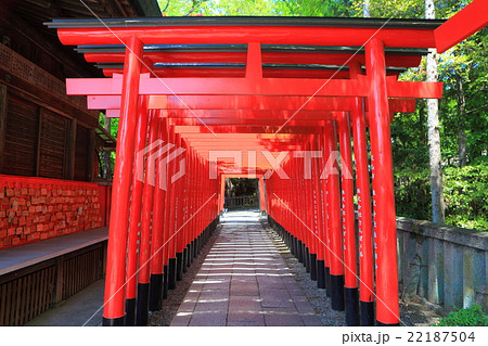 三光稲荷神社　鳥居 22187504
