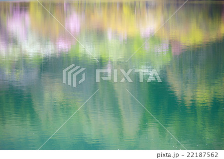 半田山自然公園の桜 半田山自然公園の桜 22187562