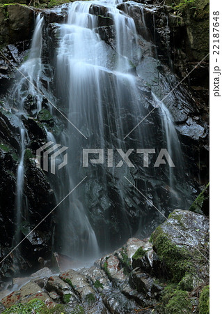幽玄な魚留の滝 22187648
