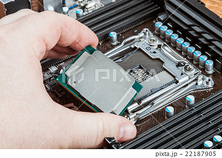 CPU in hand 22187905