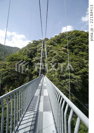 初夏の綾の照葉大吊り橋 22188413