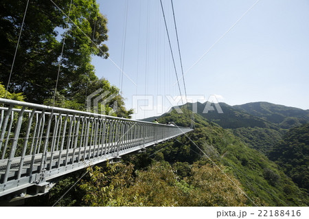 初夏の綾の照葉大吊り橋 22188416