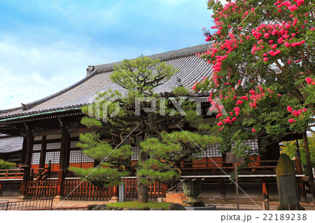 真夏の本隆寺 真夏の本隆寺 22189238