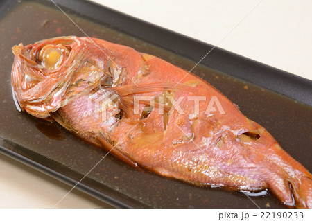 おいしい金目鯛の煮付け おいしい金目鯛の煮付け 22190233