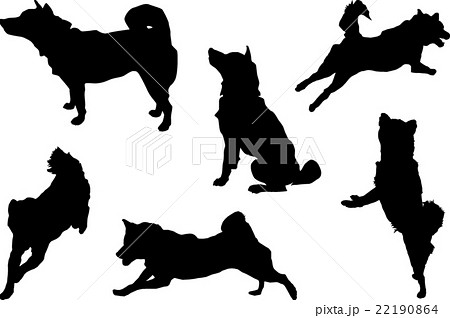 最高かつ最も包括的な柴犬 犬 イラスト 白黒 ただのディズニー画像