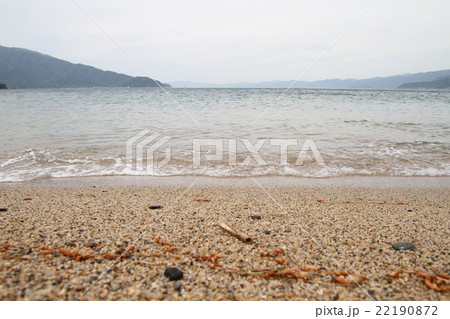 氣比の海岸　波打ち際　（撮影地：福井県敦賀市、天候：曇り） 22190872